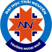 School Of Foreign Languages, Thai Nguyen University logo