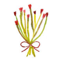 株式会社ビーディ・ラボ