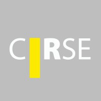 Cardiovascular And Interventional Radiological Society Of Europe (Cirse)