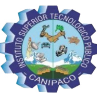 iestpcanipaco.edu.pe