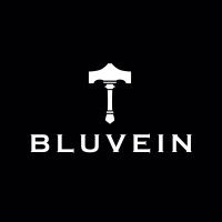 Bluvein