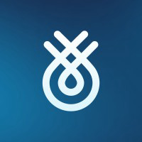 Flinks logo