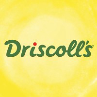 Driscoll'S
