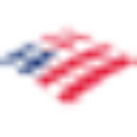 Bank Of America Merrill Lynch