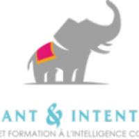Elephant & Intention