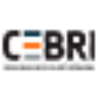 Centro Brasileiro De Relações Internacionais