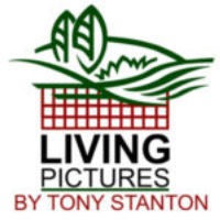 Livingpictures.net.au