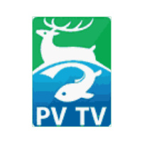 Média Kupa