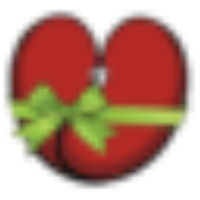 Kindness For Kidneys International, Inc