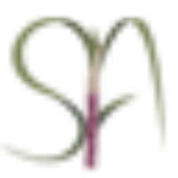 Spinagro.com.br logo
