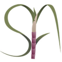Spinagro.com.br