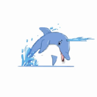 Dolphin Pressure Washing
