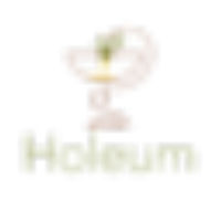 Holeum
