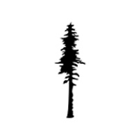 Sequoia Massothérapie Inc
