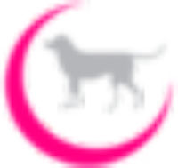 Los Galgos