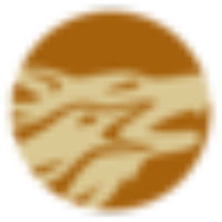 Western Copper And Gold