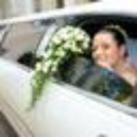 Limo Service Mississauga