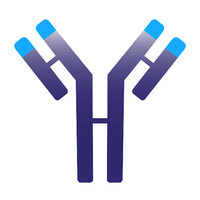 Immunovant