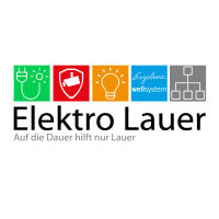 Elektro Lauer GmbH & Co. KG