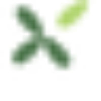 Flora Lusitana logo
